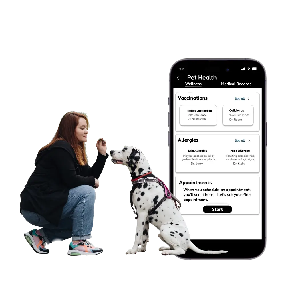 Launch Your Dog Grooming