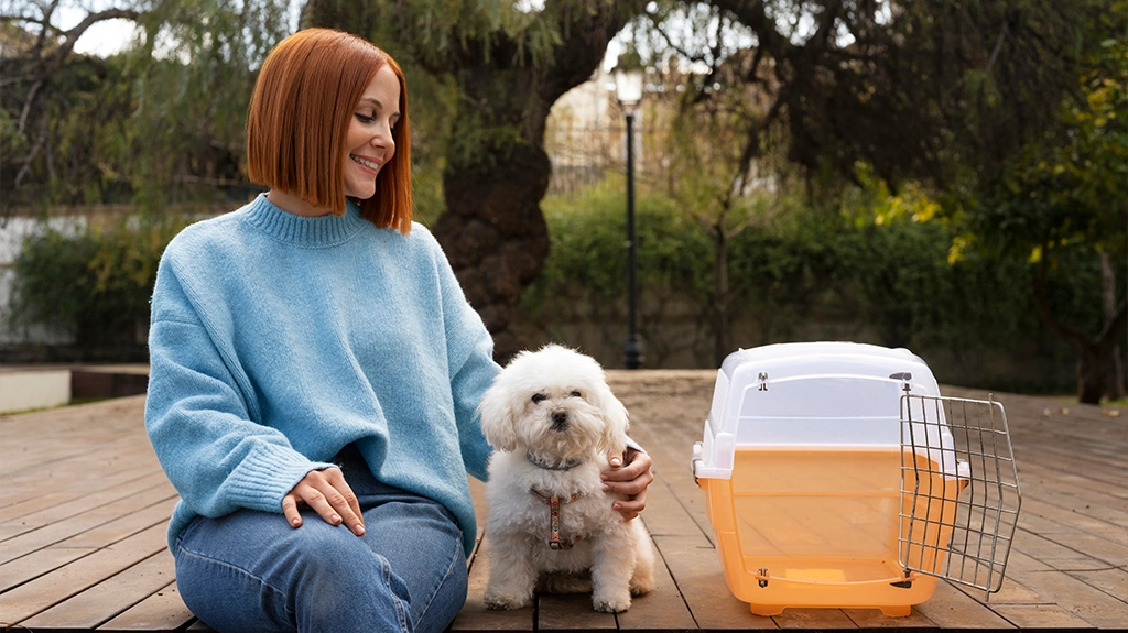 Pet Care Products Delivery