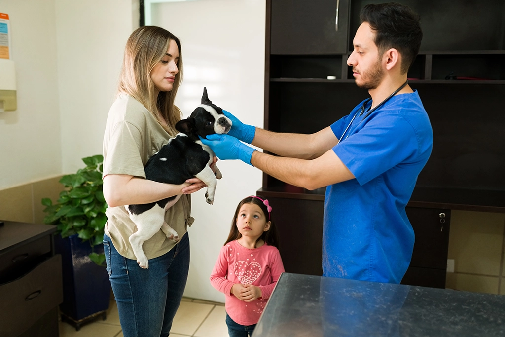 Drop-In Visits