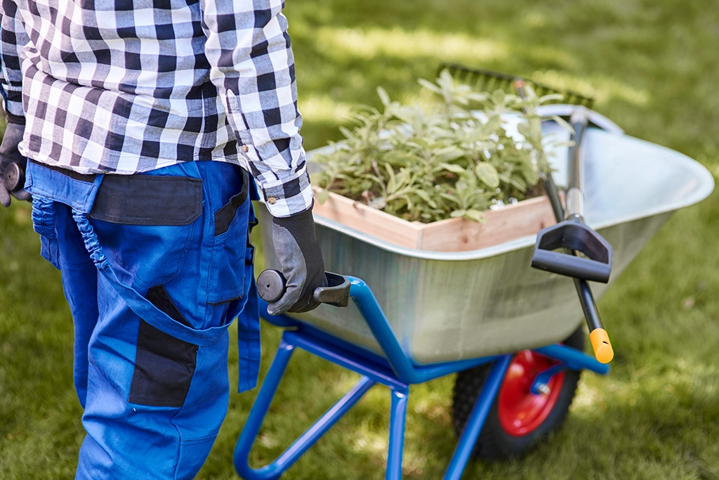 Landscape Design Services