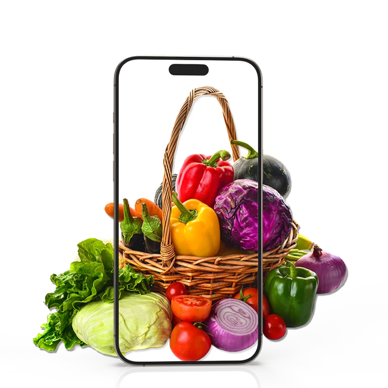 Modern Vegetable Delivery